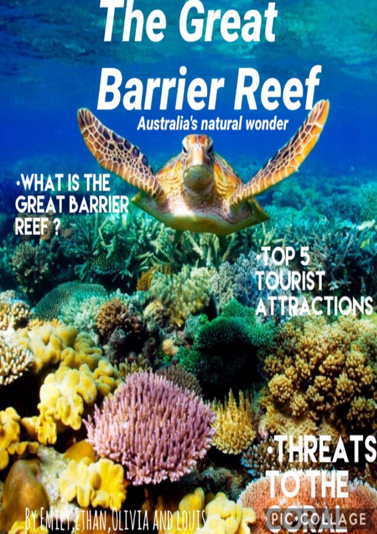 THE GREAT BARRIER REEF | Australia's Natural wonder The great barrier reef