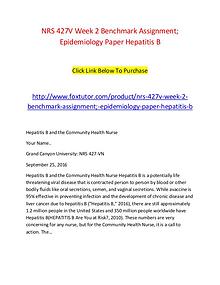 NRS 427V Week 2 Benchmark Assignment; Epidemiology Paper Hepatitis B