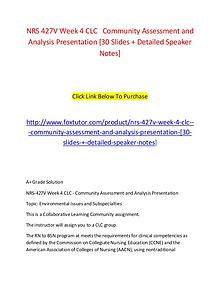 NRS 427V Week 4 CLC   Community Assessment and Analysis Presentation