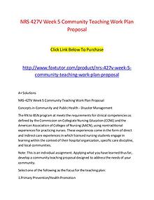 NRS 427V Week 5 Community Teaching Work Plan Proposal