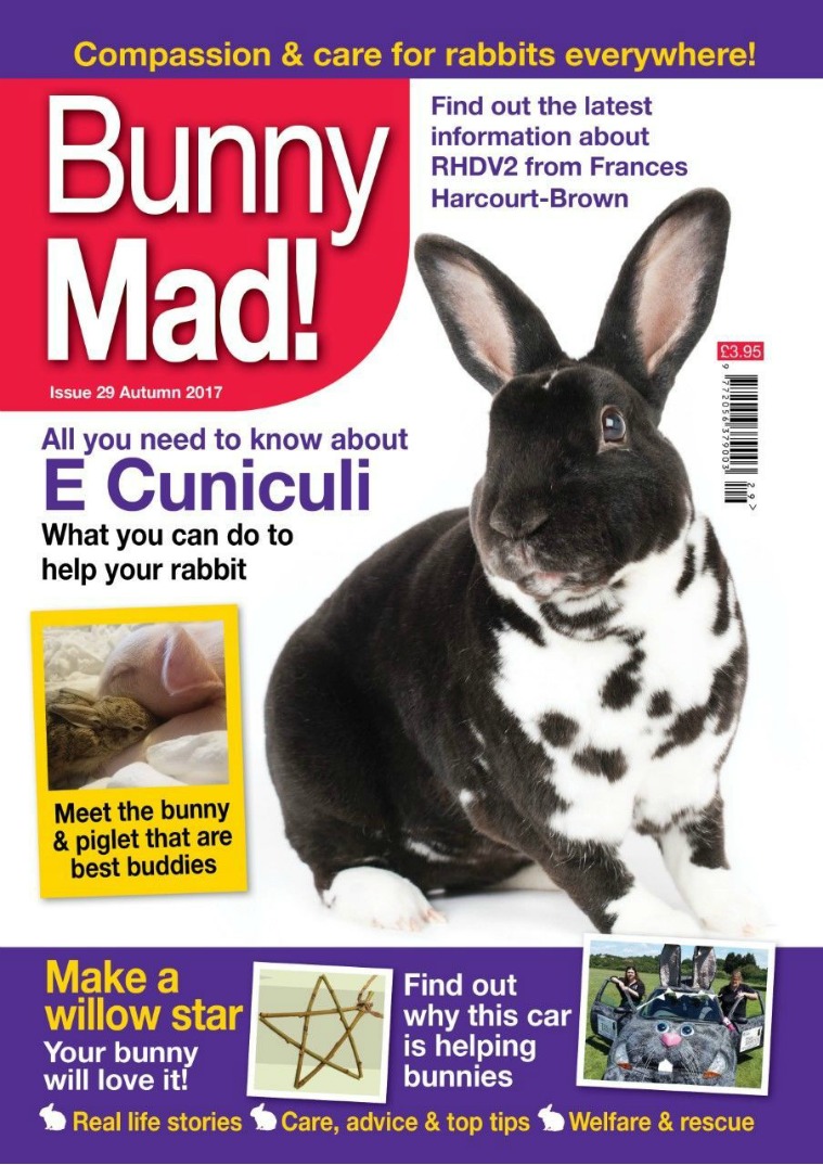 Bunny Mad! Issue 29 joomag