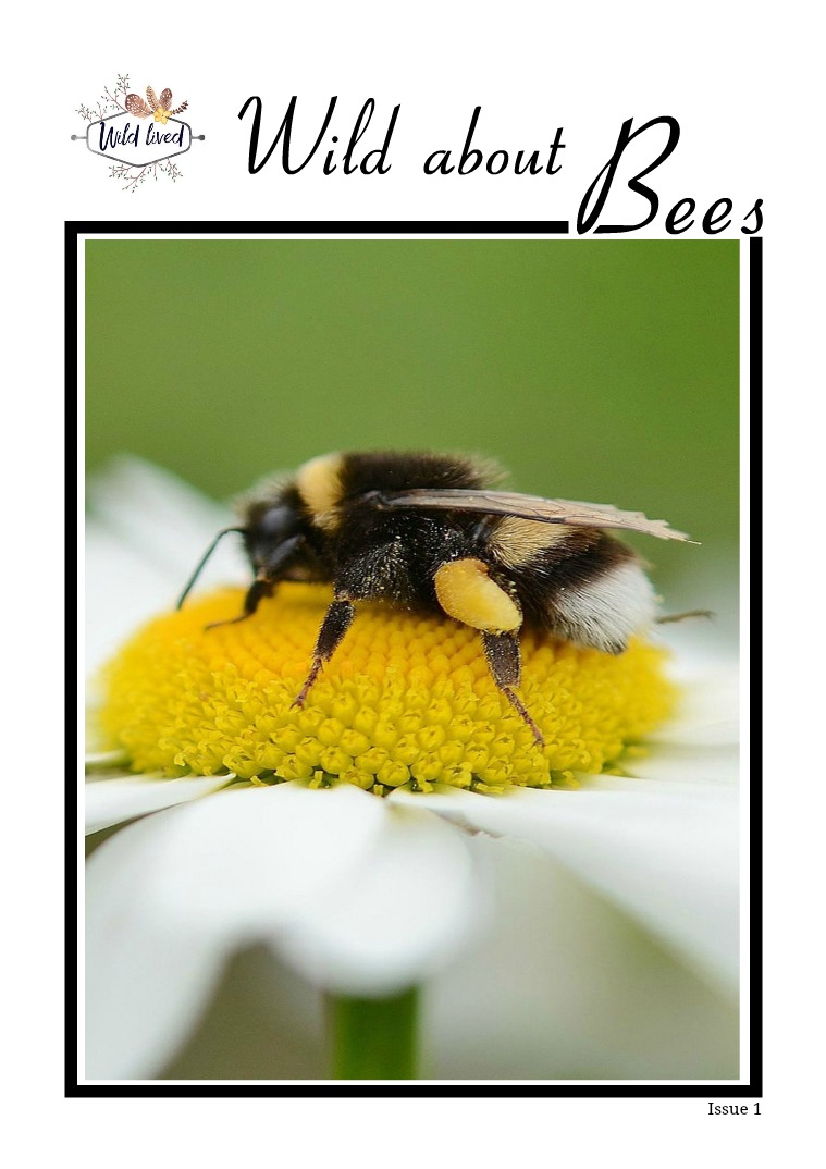 wild about bees Module 1