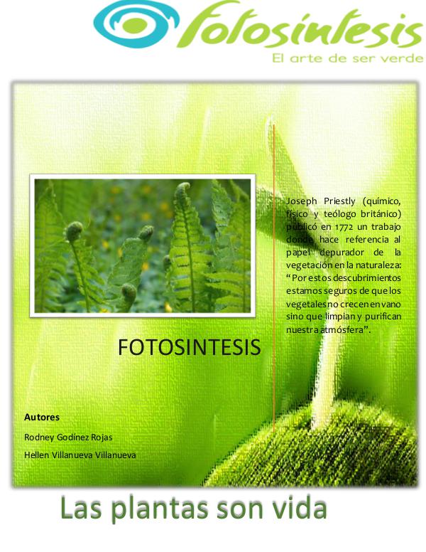 Fotosíntesis fotosintesis