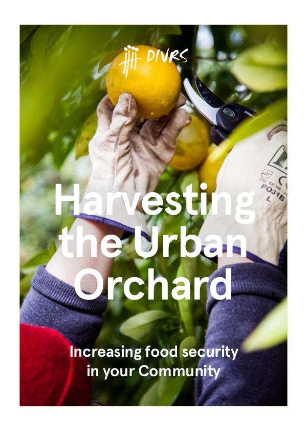 Harvesting the Urban Orchard DIVRS Harvesting the Urban Orchard
