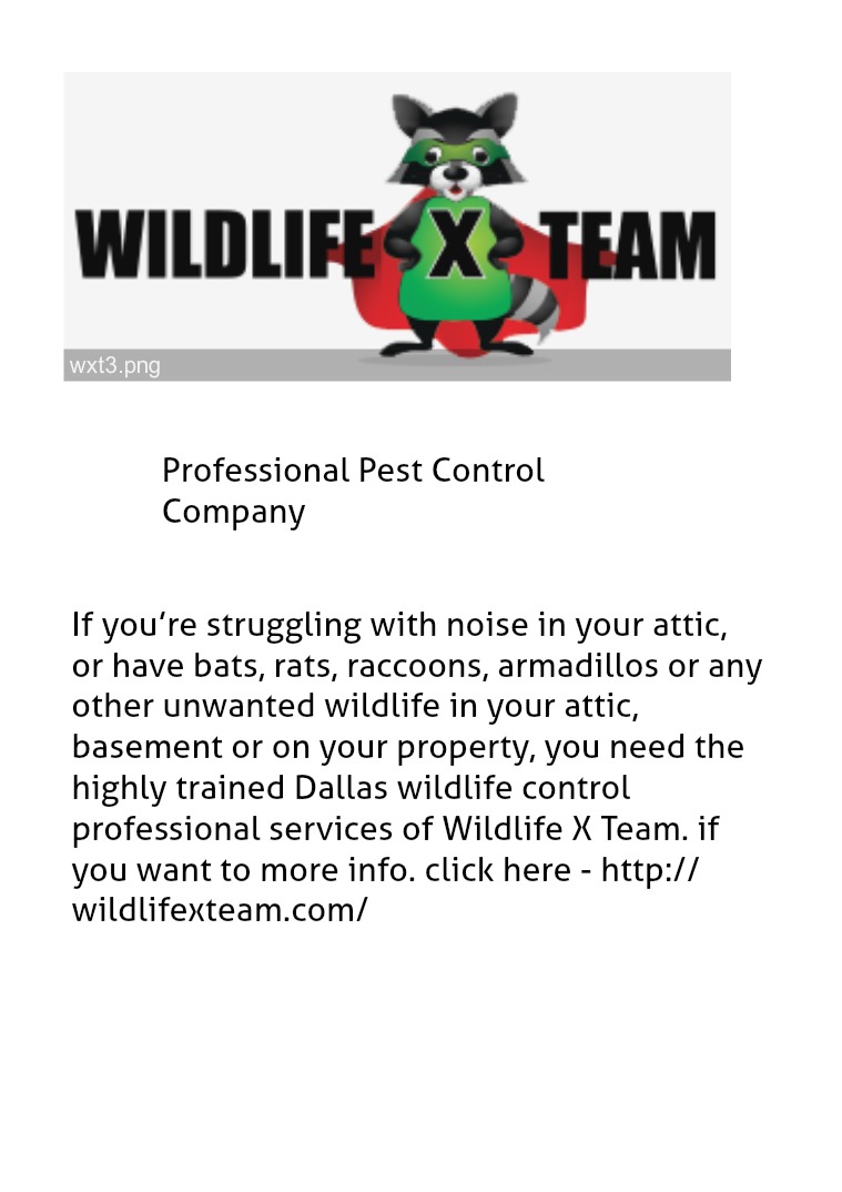Professional Pest Control Company Critter Removal