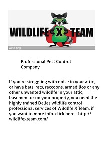 Professional Pest Control Company