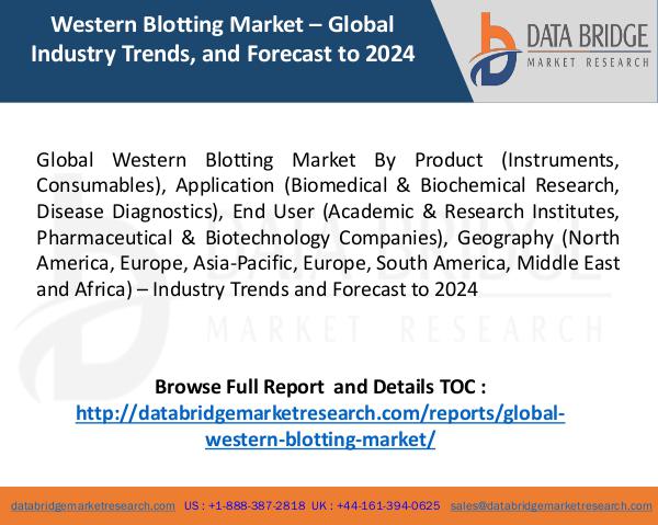 Global Western Blotting Market Global Western Blotting Market