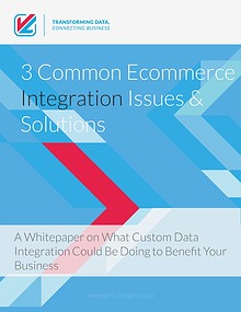 Three Common Ecommerce Integration Issues and Their Solutions