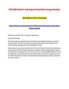 CCSI 460 Week 4 Lab Report Hard Drive Image Analysis Click Below Link