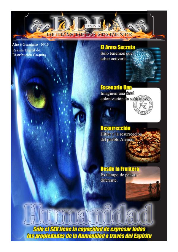 DDLA_Revista Nº13