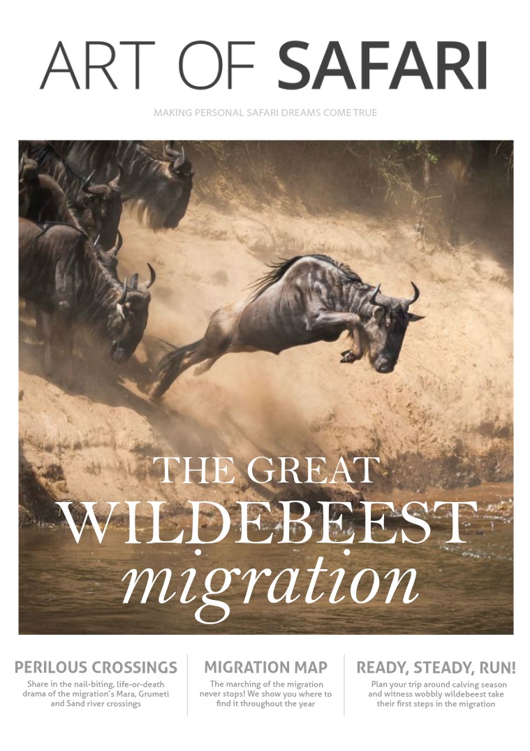 ART OF SAFARI MAGAZINE Great Wildebeest Migration