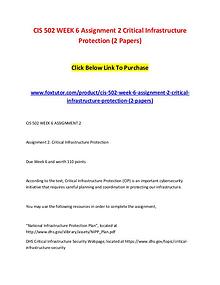 CIS 502 WEEK 6 Assignment 2 Critical Infrastructure Protection (2 Pap