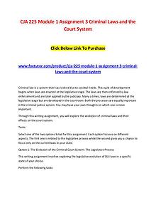 CJA 225 Module 1 Assignment 3 Criminal Laws and the Court System