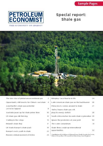 Shale Gas Report Sample