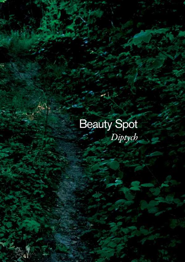 Beauty Spot beauty spot brochure final5 copy