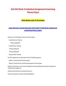 CJA 314 Week 3 Individual Assignment Examining Theory Paper