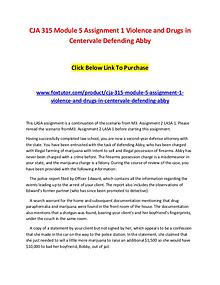 CJA 315 Module 5 Assignment 1 Violence and Drugs in Centervale Defend