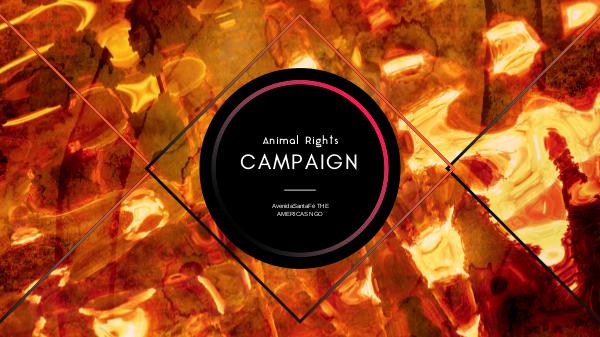 AR Campaign -AvenidaSantaFé TANGO- AR Campaign- Spanish