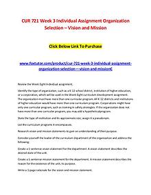 CUR 721 Week 3 Individual Assignment Organization Selection – Vision