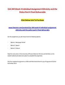 CJA 344 Week 4 Individual Assignment Ethnicity and the Police Part II