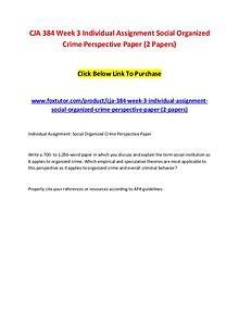CJA 384 Week 3 Individual Assignment Social Organized Crime Perspecti