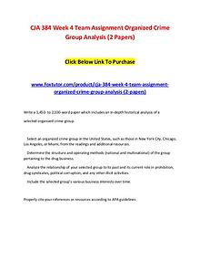 CJA 384 Week 4 Team Assignment Organized Crime Group Analysis (2 Pape