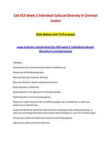 CJA 423 Week 2 Individual Cultural Diversity in Criminal Justice