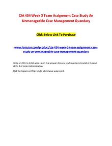 CJA 454 Week 3 Team Assignment Case Study An Unmanageable Case Manage
