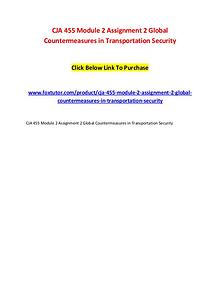 CJA 455 Module 2 Assignment 2 Global Countermeasures in Transportatio