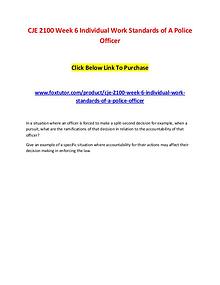 CJE 2100 Week 6 Individual Work Standards of A Police Officer