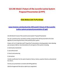 CJS 245 Week 5 Future of the Juvenile Justice System Proposal Present