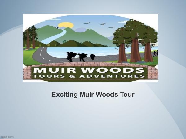 Exciting Muir Woods Tour Exciting Muir Woods Tour