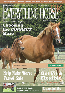 Everything Horse magazine