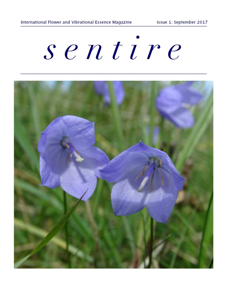 Sentire Essence Magazine Issue 1