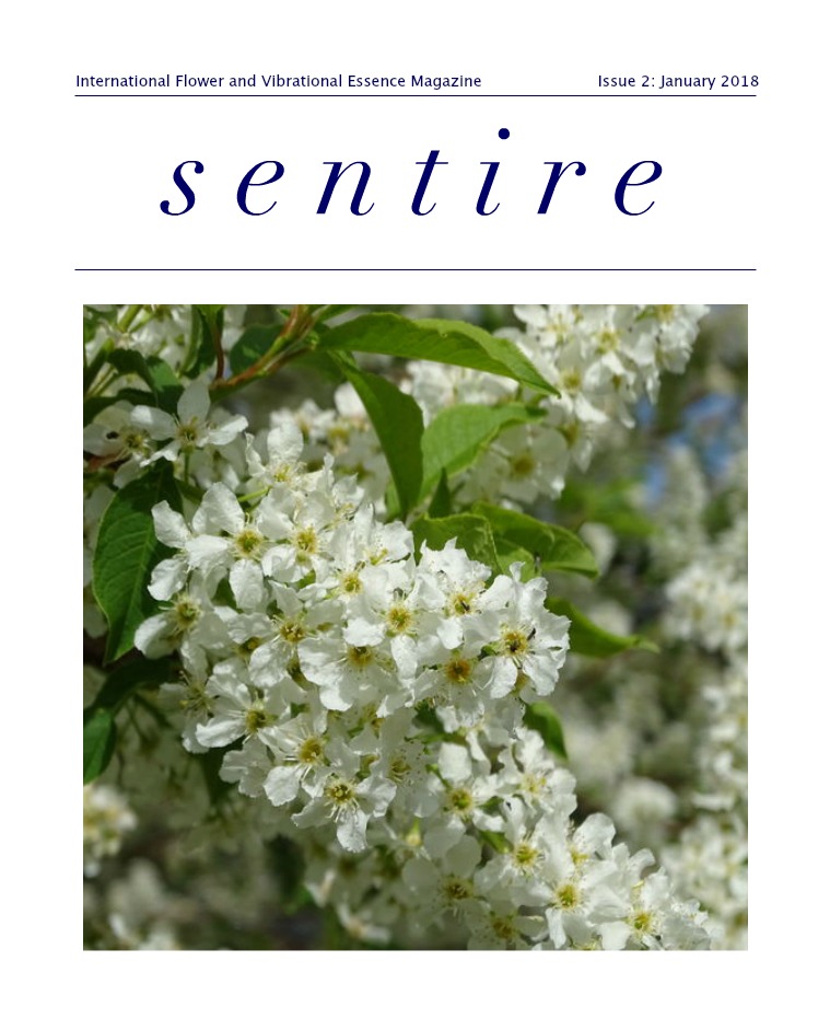 Sentire Essence Magazine Issue 2