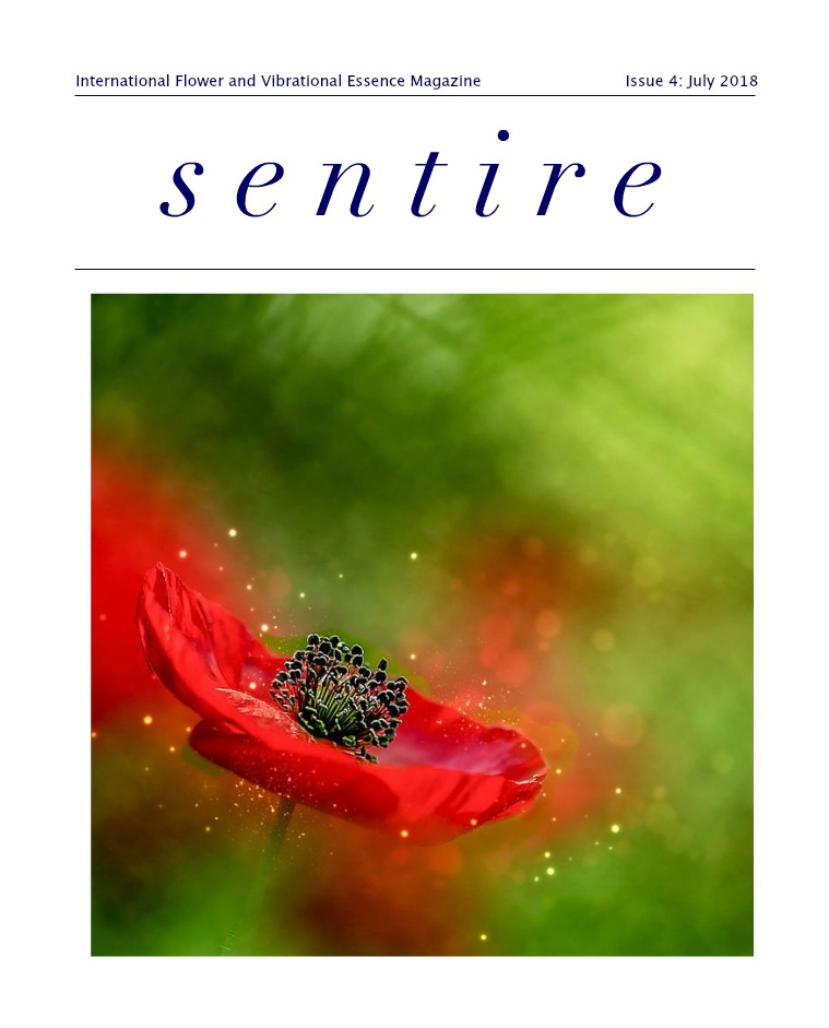 Sentire Essence Magazine Issue 4: Preview