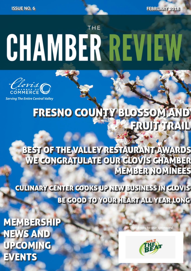 The Chamber Review February 2018