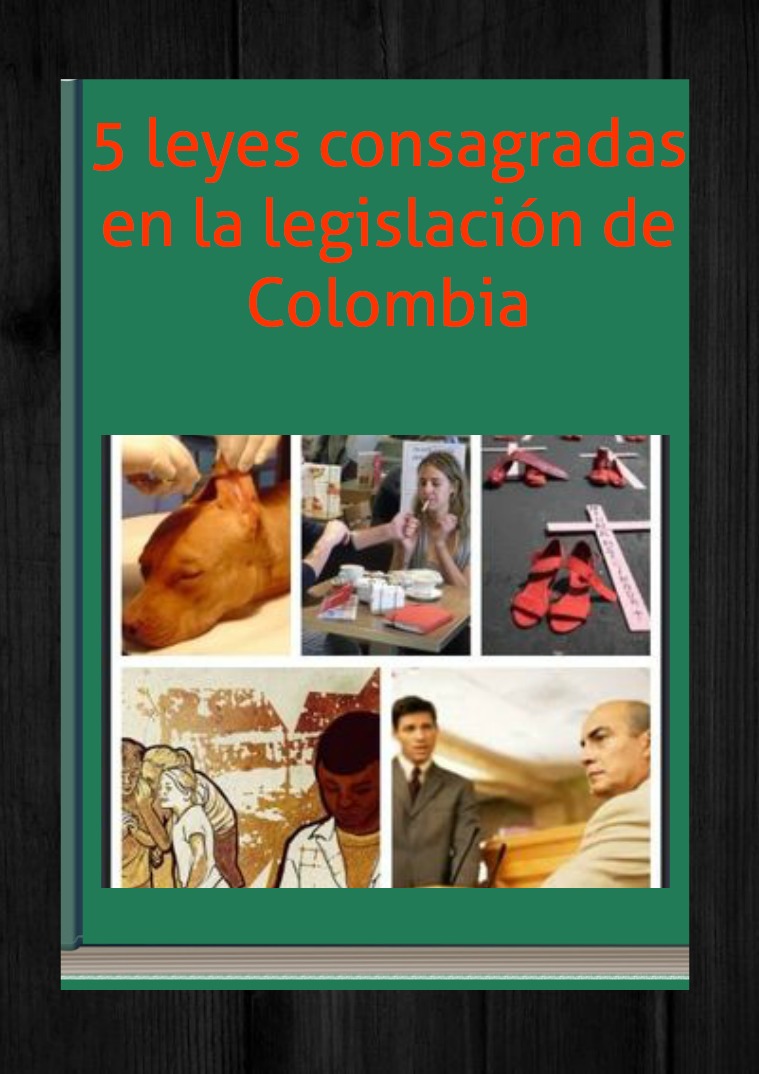 5 leyes de Colombia