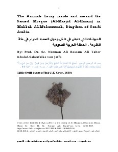 Gazelle : The Palestinian Biological Bulletin (ISSN 0178 – 6288) . Number 116, August 2014, pp. 1-23.