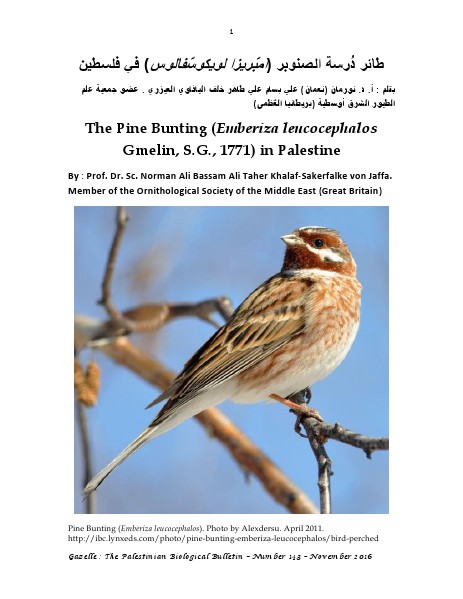 Gazelle : The Palestinian Biological Bulletin (ISSN 0178 – 6288) . Number 143, November 2016, pp. 1-6.