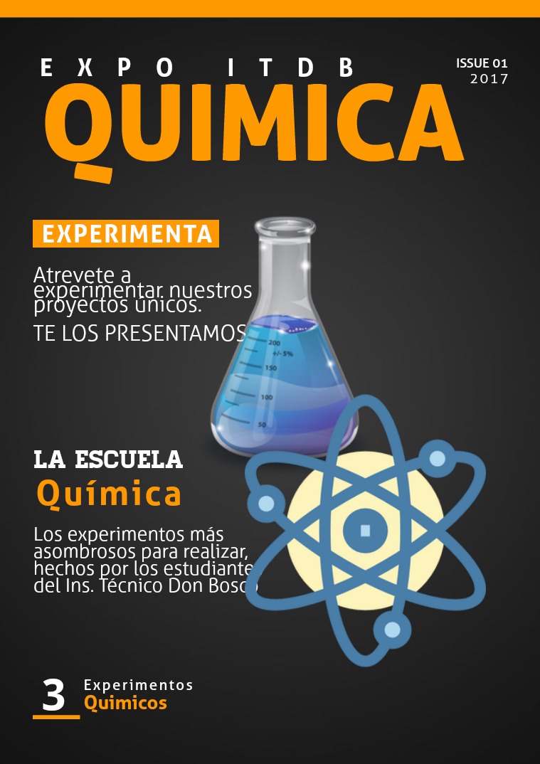Mi primera revista Revista quimica expoitdb