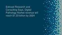 Digital Pathology Market revenue will reach $1.33 billion by 2024