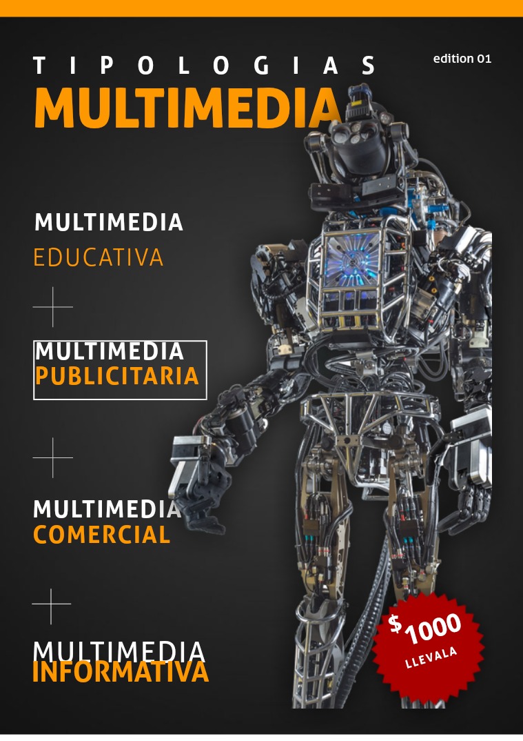 tipologias multimedia 1