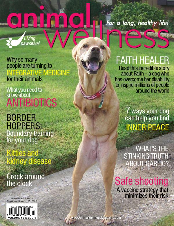 Animal Wellness Magazine Feb/Mar 2008