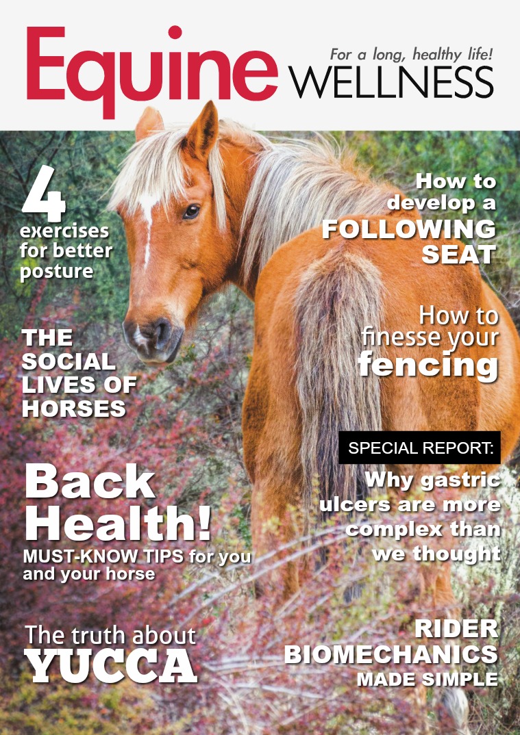 Equine Wellness Magazine Oct/Nov 2018