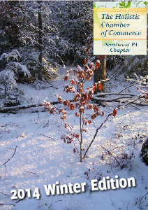 2014 - NEPA Holistic Chamber of Commerce Volume 2 issue 1