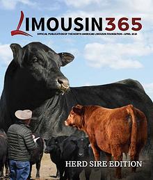 Limousin 365
