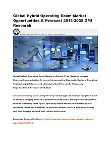 Global Hybrid Operating Room Market Opportunities &Forecast 2018-2025