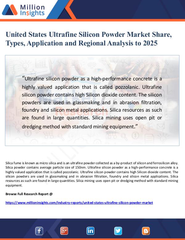 Market Giant United States Ultrafine Silicon Powder Market Shar
