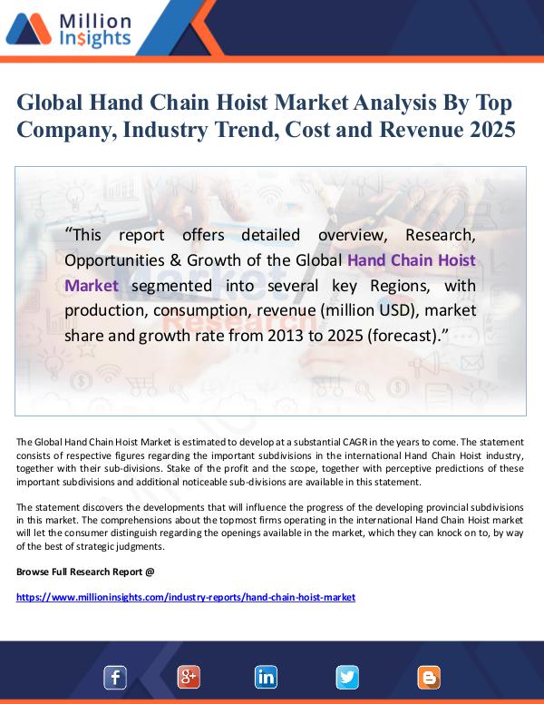 Global Hand Chain Hoist Market Analysis By Top Com